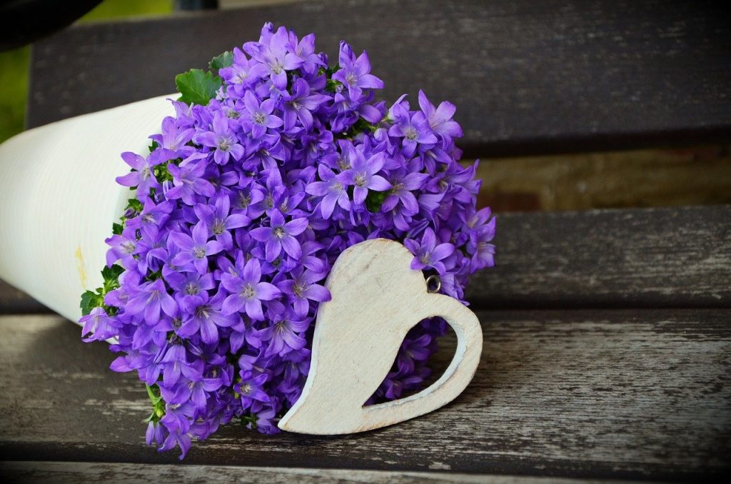 flowerpot, flower purple, mother's day